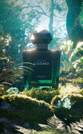 House Of Cosmo New Eden (Sample)