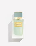 D&G Velvet Infusion (Sample)